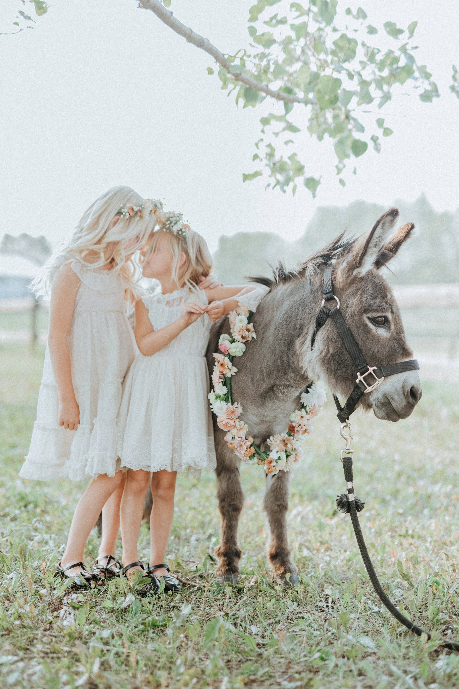 Boho Enchantment - A Whimsical Birthday With Farm Friends