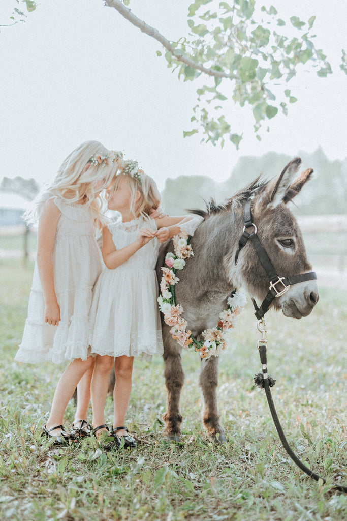 Boho Enchantment - A Whimsical Birthday With Farm Friends